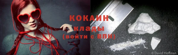 прущие грибы Гусев