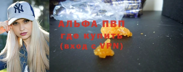 стаф Алзамай
