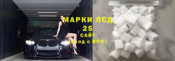 стаф Алзамай