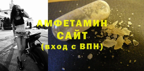 амф Алексин
