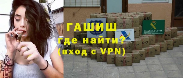 стаф Алзамай