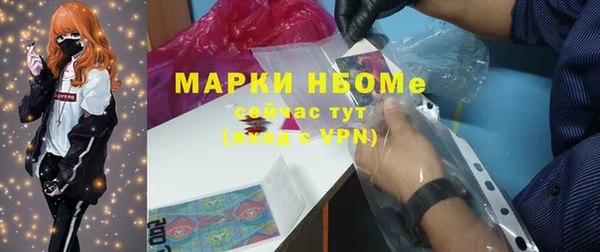 стаф Алзамай