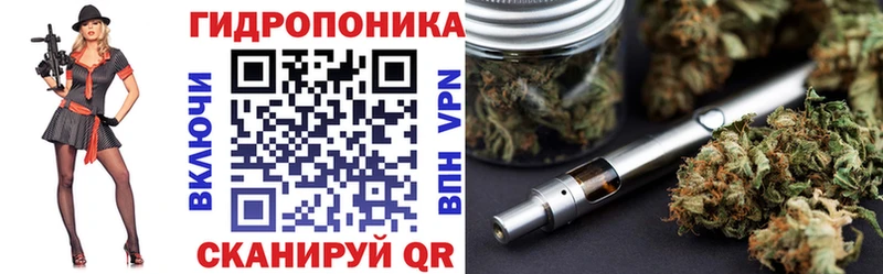 дарк нет клад  Чебоксары  Конопля марихуана 